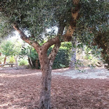Panzió Maria *